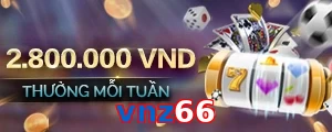 vnz66