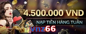 vnz66