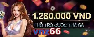 vnz66