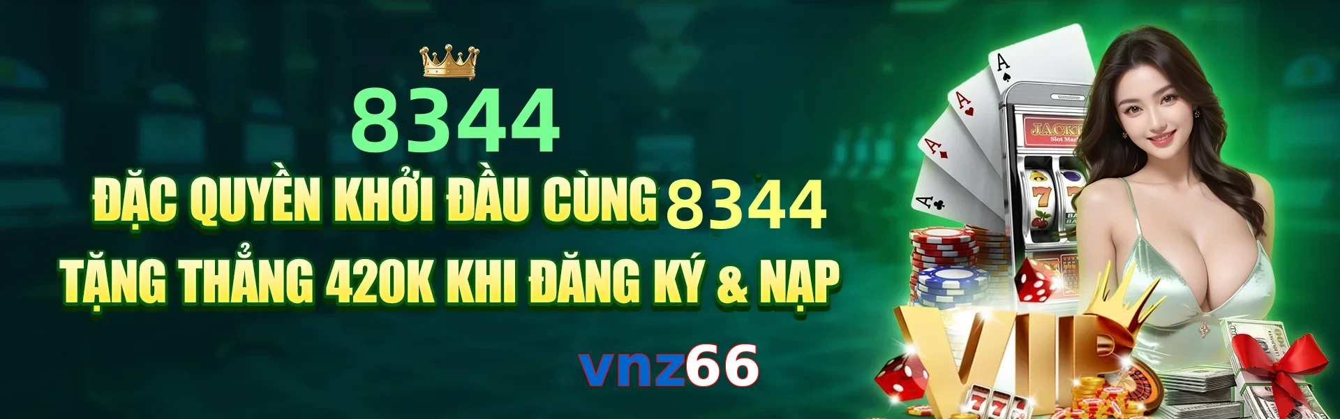 vnz66