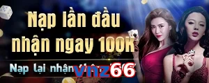 vnz66