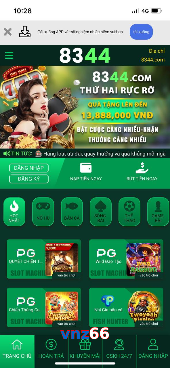 vnz66